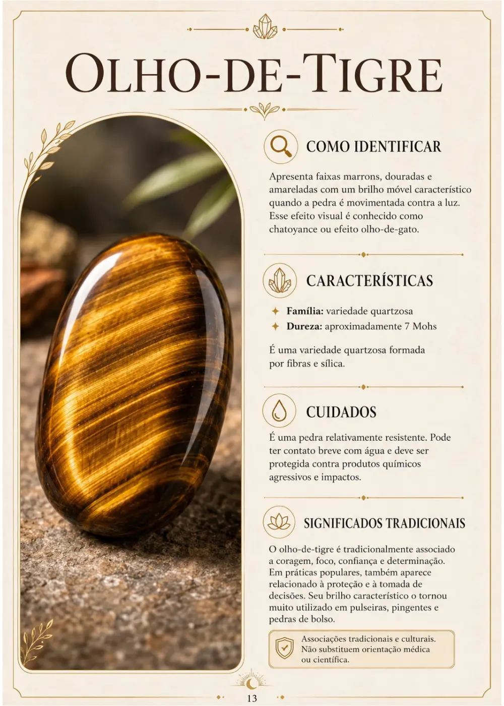 Página da enciclopédia sobre o olho-de-tigre